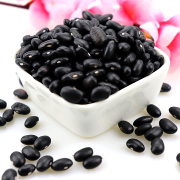High Quality Black Kidney Bean With HPS Size 500-550 pcs for 100g Black Bean